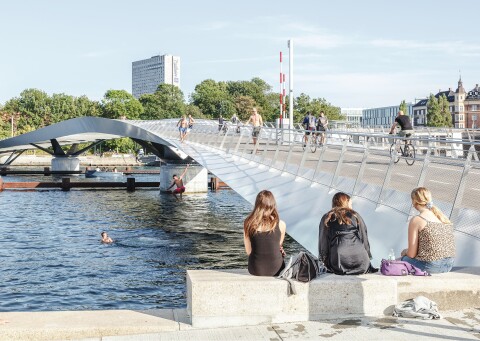 01 R Hjortshoj   Lille Langebro 5 1